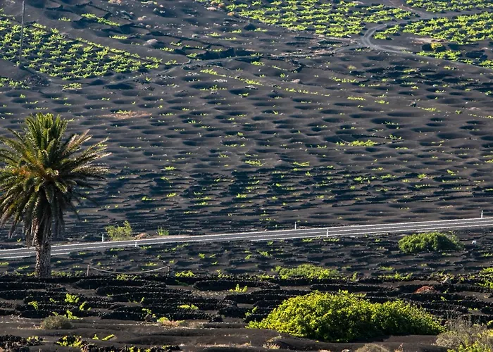 Home2book Cozy プエルト・デル・カルメン